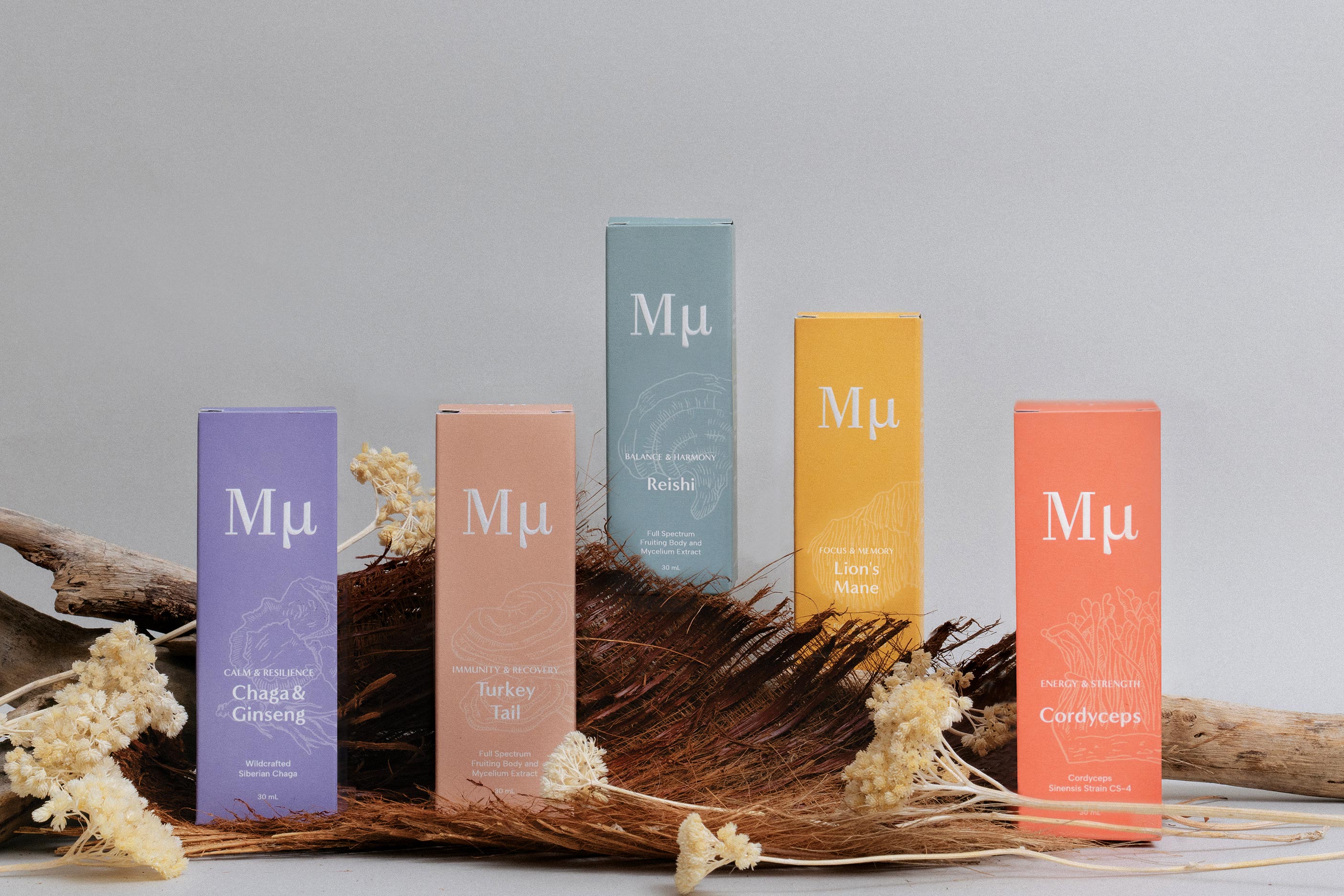 Mμ 獅鬃精 / 專注與記憶(30 毫升滴管瓶) – DutchShop Hong Kong